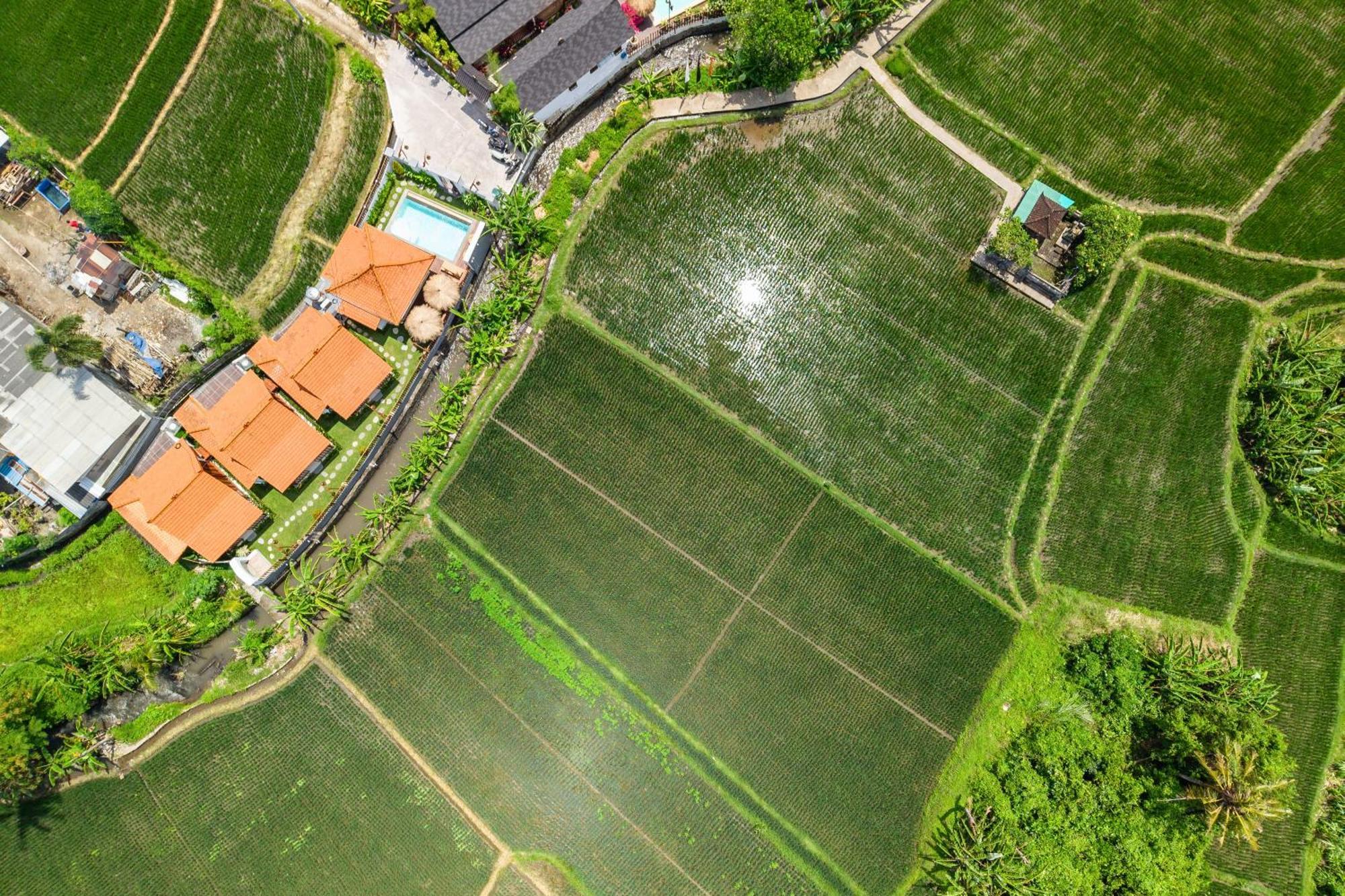 Joglo Pascaline Dalung (Bali) Exterior foto